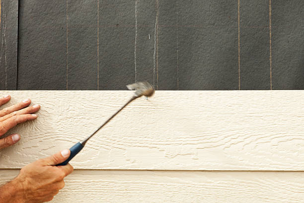 Best Custom Trim and Detailing for Siding  in Richmond, IN